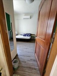 Lorong 101 Changi (D15), Terrace #498162321